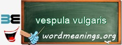 WordMeaning blackboard for vespula vulgaris